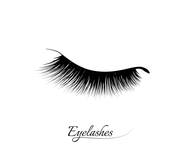 Eyelash Extension Beautiful Black Long Eyelashes Closed Eye False Beauty — Stock Vector