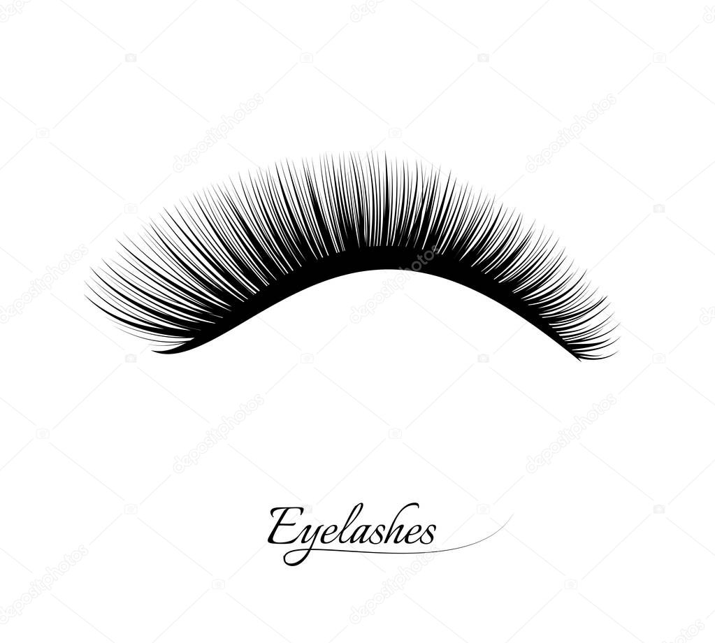 Eyelash extension. Beautiful black long eyelashes. False beauty cilia. Mascara natural effect. Professional glamor makeup. Logo