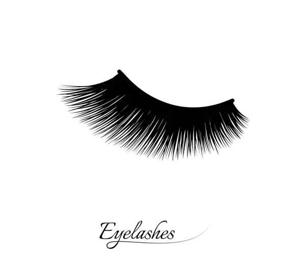 Eyelash Extension Beautiful Black Long Eyelashes Closed Eye False Beauty — Stock Vector