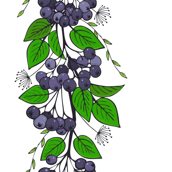 Bezszwowe Ornament Czarny Ashberry Oddział Aronia Wzór — Zdjęcie stockowe