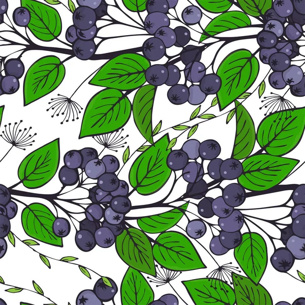 seamless pattern with branches of chokeberry. ornament of bunches of aronia. Illustration