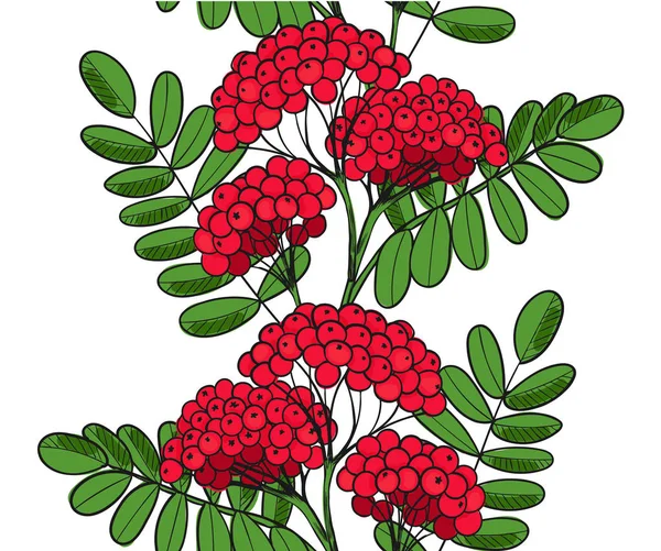 Jednolity Wzór Czerwona Jarzębina Drzewa Niekończące Się Ornament Gałązka Jarzębiny — Zdjęcie stockowe