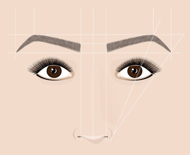 Classical shape of eyebrows. Microblaining and permanent make-up. The scheme of the correct construction. clipart