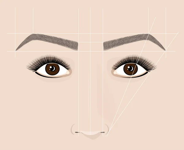 Classical shape of eyebrows. Microblaining and permanent make-up. The scheme of the correct construction. — Stock Photo, Image