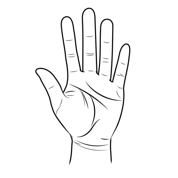 A mão aberta está levantada. Divinização por linhas na palma da mão — Fotografia de Stock