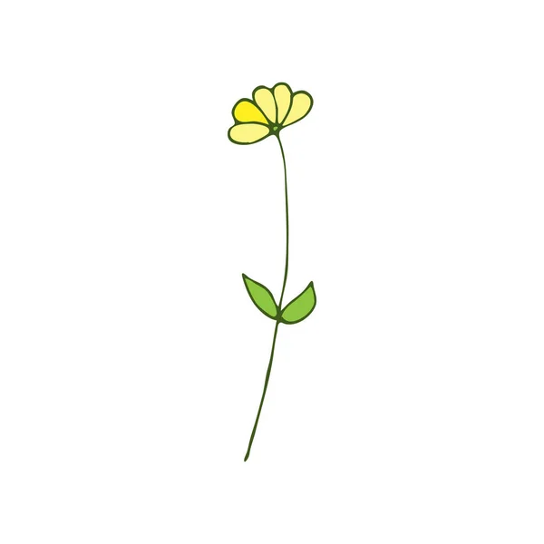 Летний Цветок Цветочный Элемент Isolated — стоковый вектор