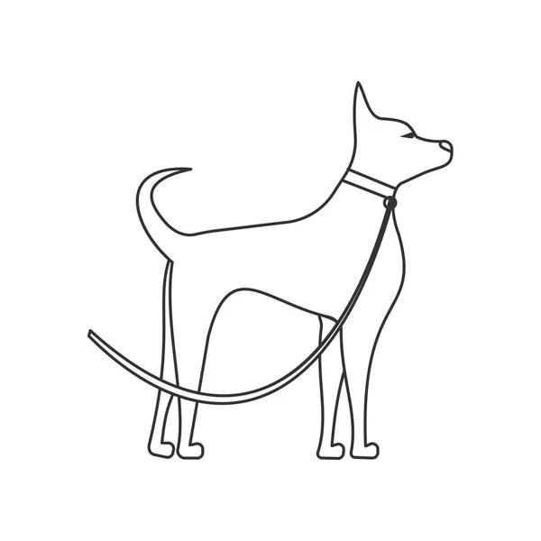 Cane vista laterale lineare illustrazione. Animali domestici e toelettatura — Vettoriale Stock