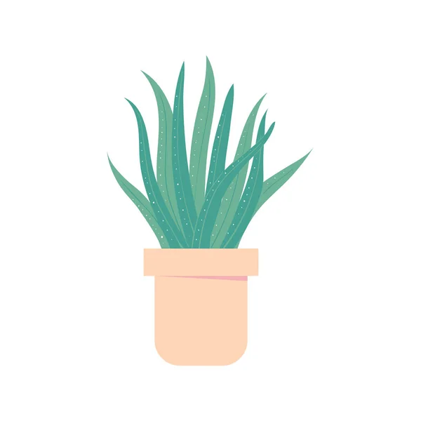 Aloe Vera Topf Zimmerpflanze Für Den Innenraum Isolierte Heimpflanze Vektorillusion — Stockvektor