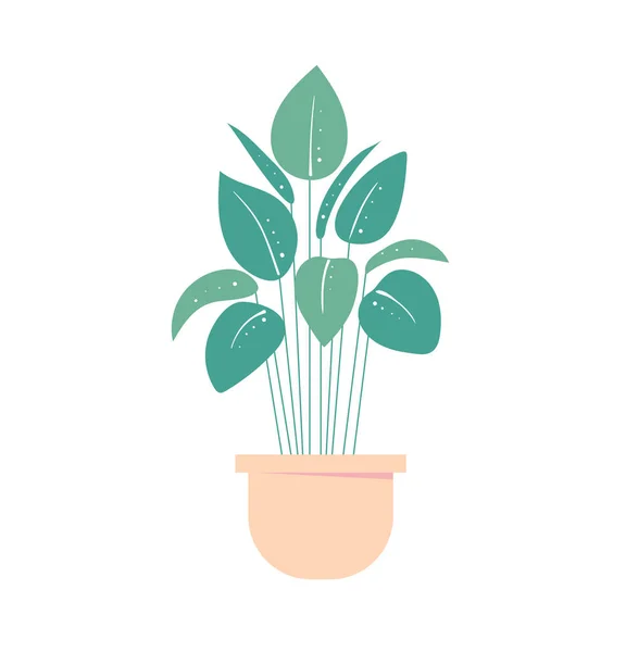 Plante Intérieur Pot Pot Fleurs Isolé Plante Exotique Maison Illustration — Image vectorielle