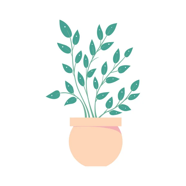鍋に観葉植物 分離の植木鉢 家の植物 インテリア ベクトル図 — ストックベクタ