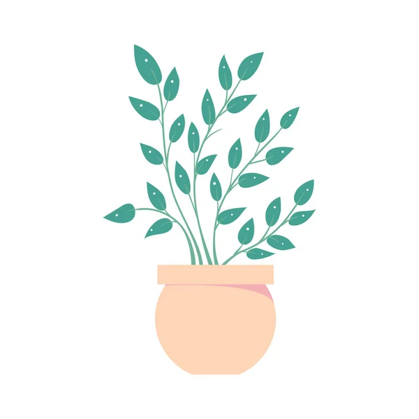 Kamerplant Pot Geïsoleerde Bloempot Huis Plant Interieur Vectorillustratie — Stockvector