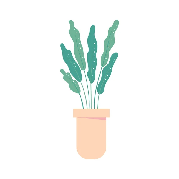 Kamerplant Pot Geïsoleerde Bloempot Huis Plant Interieur Vectorillustratie — Stockvector