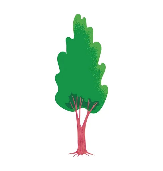 Parkbaum Wald Und Gartenlandschaft Isolierte Vektorabbildung — Stockvektor