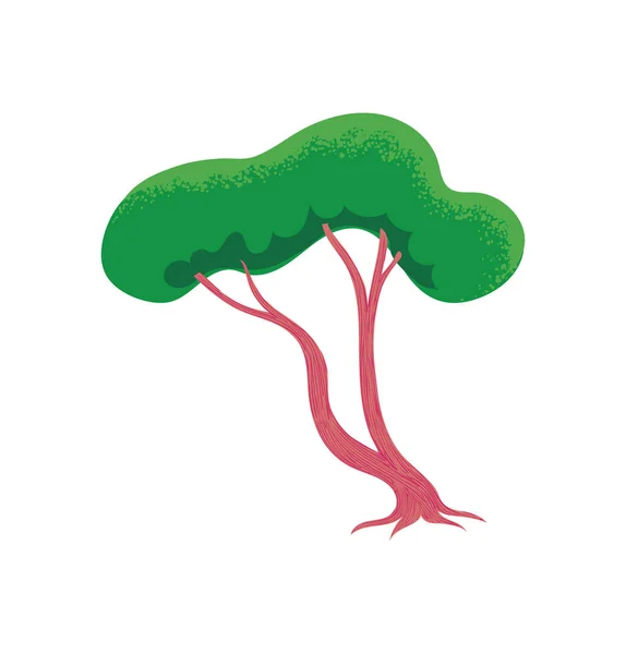 Árbol Del Parque Bosque Jardín Paisaje Ilustración Vectorial Aislada — Archivo Imágenes Vectoriales