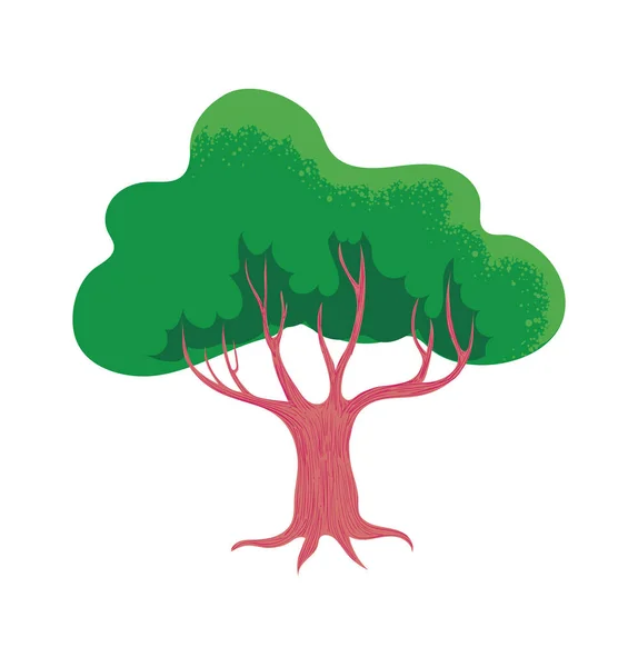 Parkbaum Wald Und Gartenlandschaft Isolierte Vektorabbildung — Stockvektor