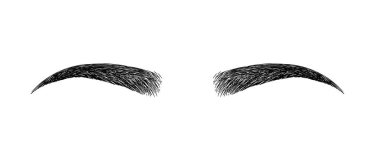 eyebrow perfectly shaped. permanent make-up and tattooing. Cosmetic for eyebrows. Beauty salon. clipart