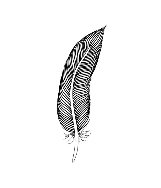 Pluma Pluma Vintage Escritor Símbolo Icono Literatura Signo Diario Vector — Vector de stock