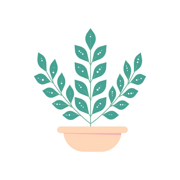 Kamerplant Pot Geïsoleerde Bloempot Huis Plant Interieur Vectorillustratie — Stockvector