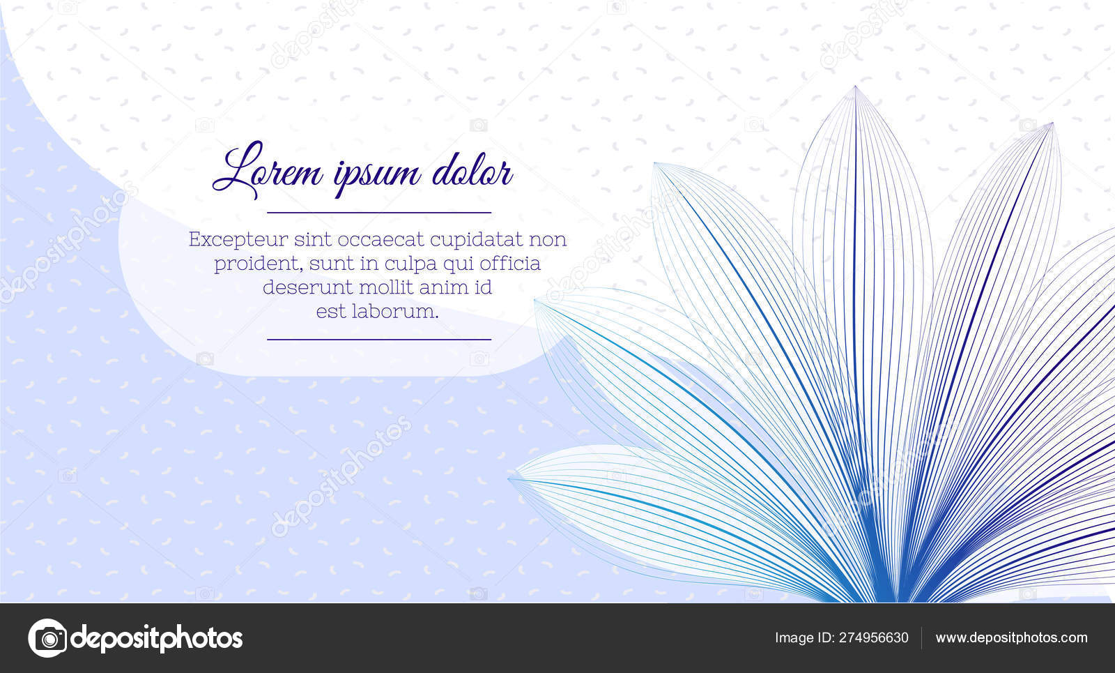 Floral Design Template Flower X Ray Effect Business Card Or Advertising Flyer Stock Vector Image By C Liliiakyrylenko