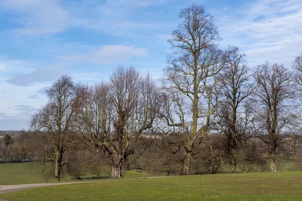 Paisajes de primavera en Walloton Park, Nottingham, Reino Unido durante el día soleado . — Foto de Stock