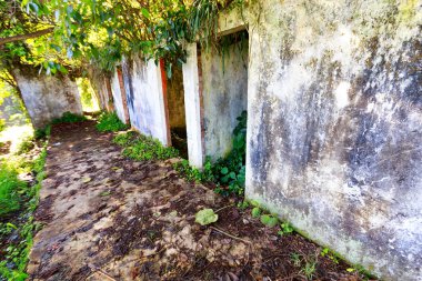 Yağmur ormanlarında Manizales Kolombiya'da kahve üçgen yakın terk edilmiş bir binada.
