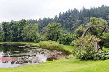 Recinto Del Pensamiento doğa yemyeşil gölette rezerv Manizales, Kolombiya. 