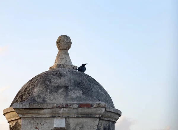 A bird rests on the top of a corner turret on the wall that protected cartagena during the colonial era.