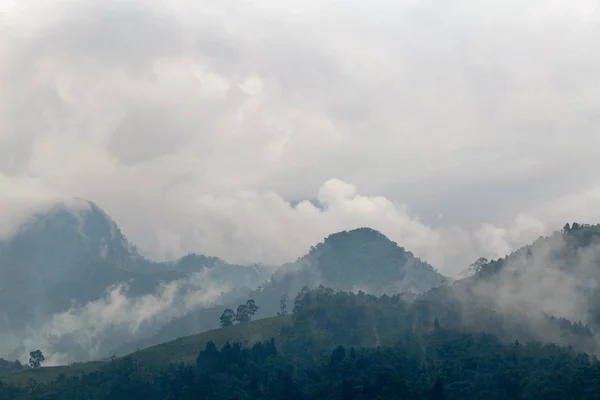 Dramatic Clouds Swirl Cloud Forest Recinto Del Pensamiento Nature Reserve — Stock Photo, Image