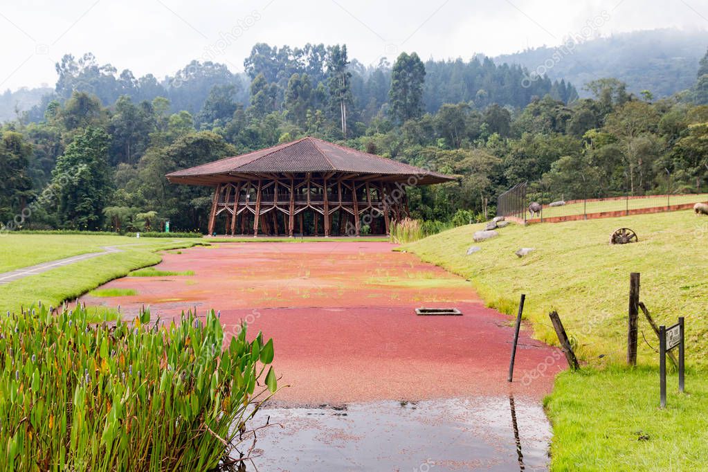 A natural pond at the Recinto del Pensamiento nature reserve near Manizales, Colombia. 