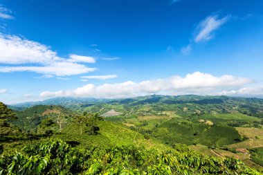 Beautiful view on the top of a mountain on a coffee plantation looking out towards the town of Chinchina, Colombia.  clipart