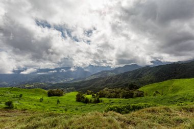 : Salento, Kolombiya dışında kırsal tarım arazileri. 