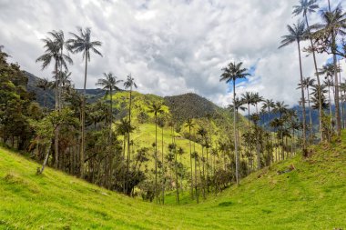 Kırsal: Tolima, Colombia bir vadi üzerinde dramatik bulutlar.