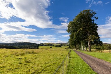 Crieff, İskoçya yakınındaki tarım arazileri üzerinde mavi gökyüzü. 