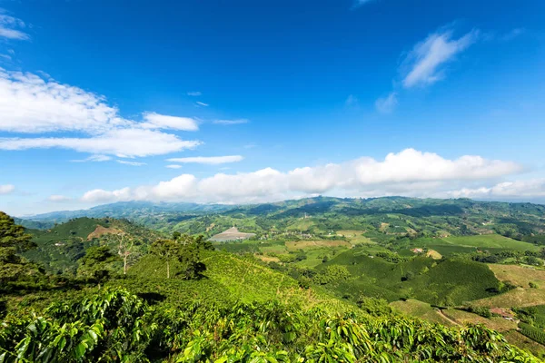 Piękny Widok Szczycie Góry Plantacji Kawy Patrząc Kierunku Miasta Chinchina — Zdjęcie stockowe