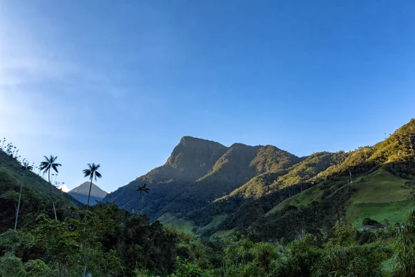 Tidig Morgon Stig Som Leder Till Nationalparken Los Nevados Salento — Stockfoto