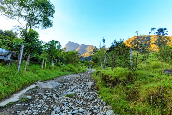 Bir iz üzerinde iki yürüyüşçü Los Nevados Ulusal Park: Salento, Kolombiya civarındaki oteller.