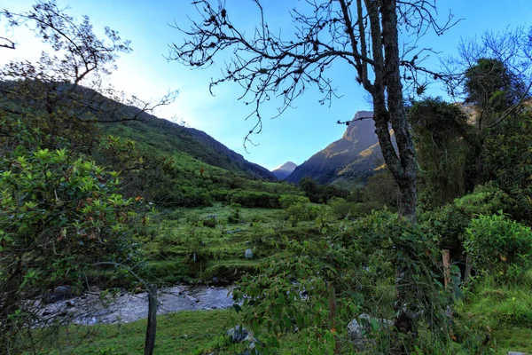一条小溪 通往哥伦比亚 Salento 附近的洛杉矶 Nevados 国家公园 — 图库照片