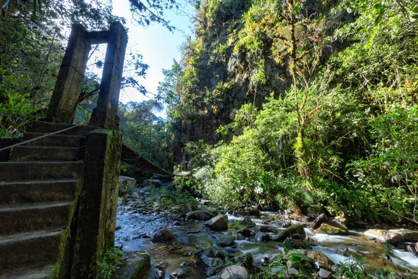 Water flows under a wooden bridge in the cloud forest outside the Los Nevados National Park outside of Salento, Colombia.