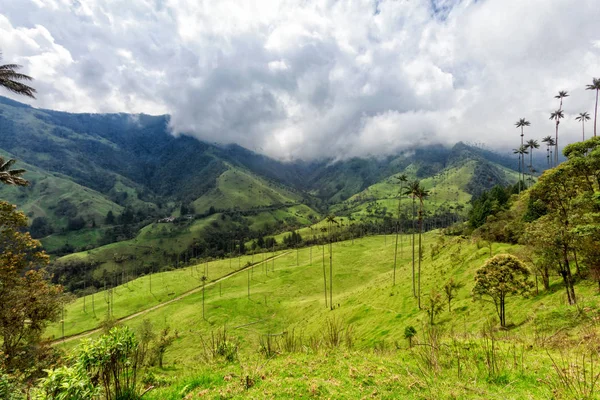 Nuvens Rolam Acima Vale Cocora Fora Salento Colômbia — Fotografia de Stock