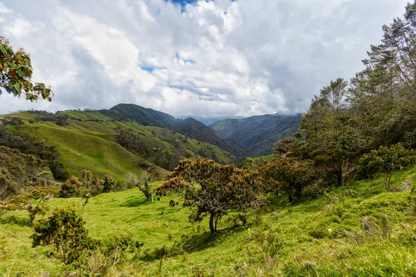 Verdent Zöld Völgy Hegység Kívül Salento Kolumbia — Stock Fotó