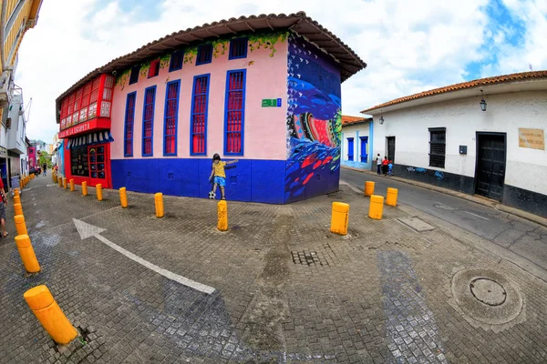 Felgekleurde Geschilderde Gebouwen Cali Colombia — Stockfoto
