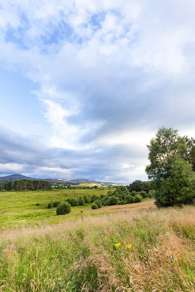 Zobrazení Výšku Pole Jižně Inverness Skotsko Pozdním Odpoledni Létě — Stock fotografie