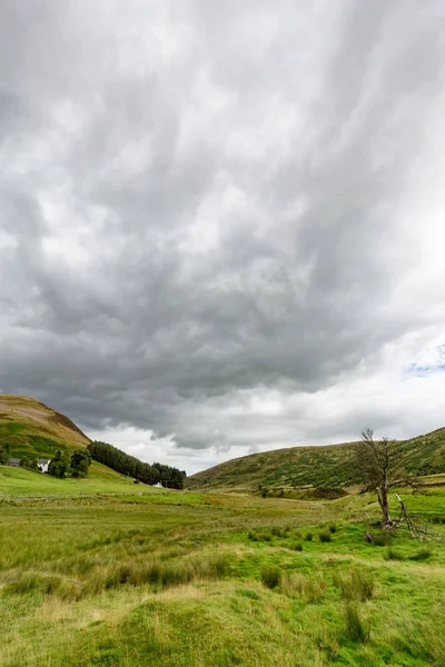 Vue Portrait Une Belle Vue Paysage Une Plaine Inondable Dans — Photo