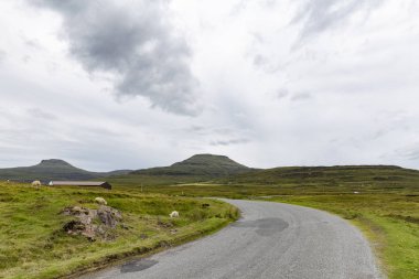 MacLeod'ın tabloları jeolojik oluşumları olarak Dunvegan üzerinde Isle of Skye İskoçya'dan görüldü. 