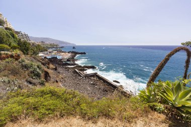 Funchal Madeira, Portekiz doğru seyir Sahili boyunca kurak plantline.