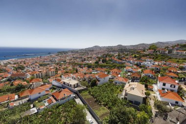 Madeira Funchal şehir Konut Evleri yakın büyüyen bitkileri Arial görünümü. 
