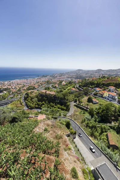 Bananas Being Grown Hills Funchal Madeira — Stock Photo, Image