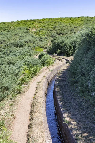 Sentier Bovin Côté Petit Canal Eau Sur Île Madère Portugal — Photo