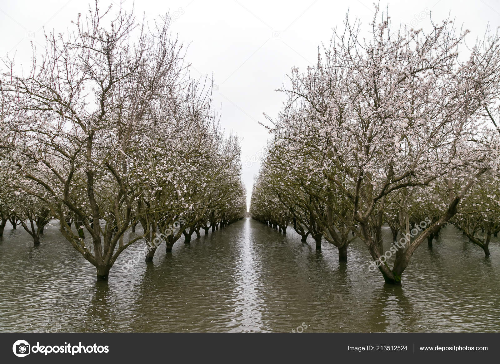 Chico California February Atmospheric River Extreme Weather Event