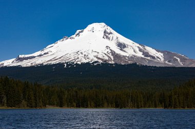 Mt. Hood Trillium Gölü yakınındaki Portland, Oregon.